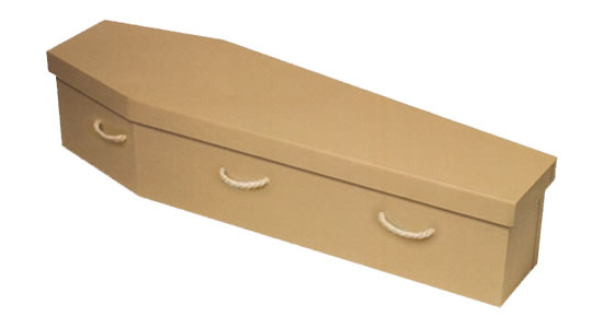 Cardboard Coffin
